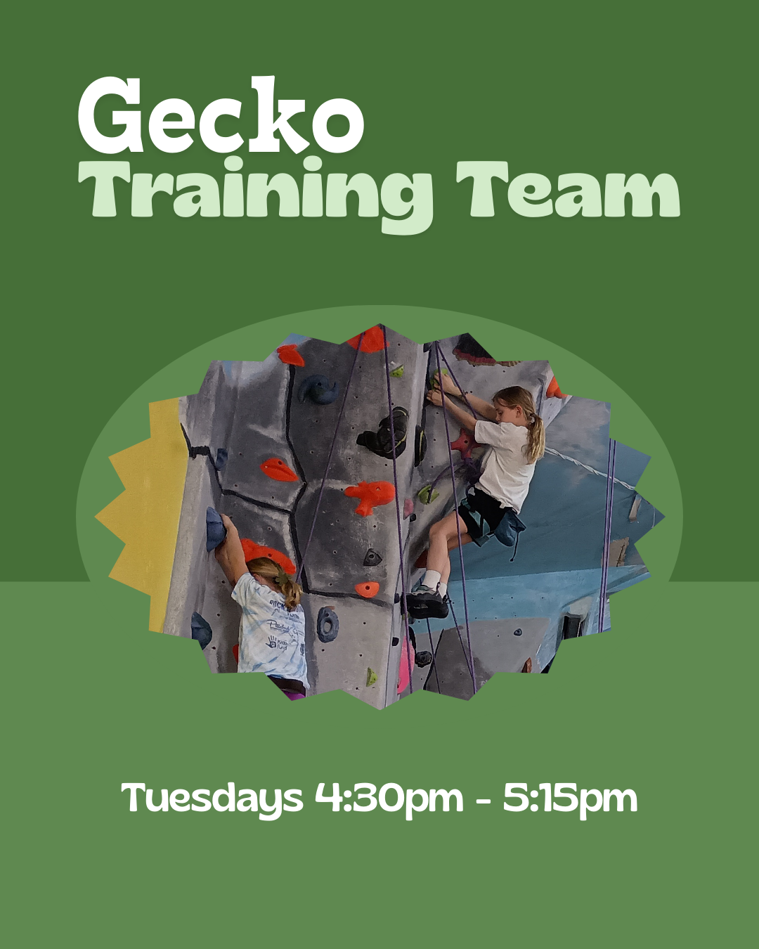 Intro to Rock Climbing - Ages 5-17